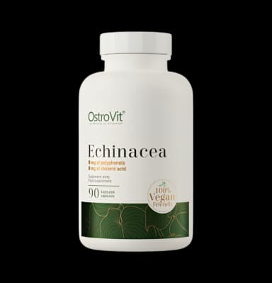 Echinacea