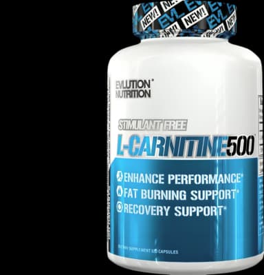 L-Carnitine 500